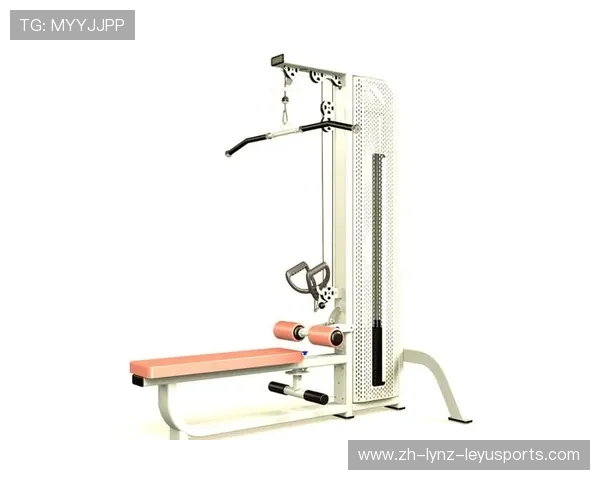 轻巧高效女性健身器械全方位解析